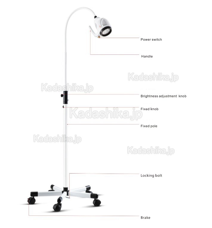 KWS KD-202B-8 20W 歯科ENT LED 検診ライト