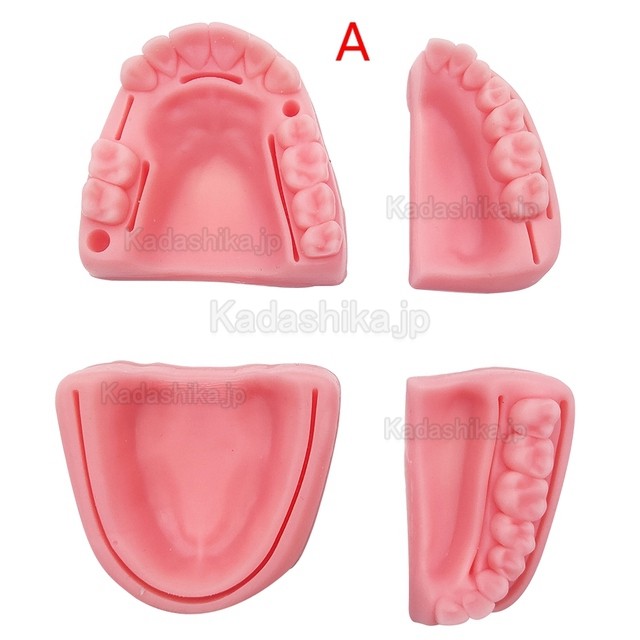 歯科口腔縫合実習用模型 シリカゲル訓練モジュールキット