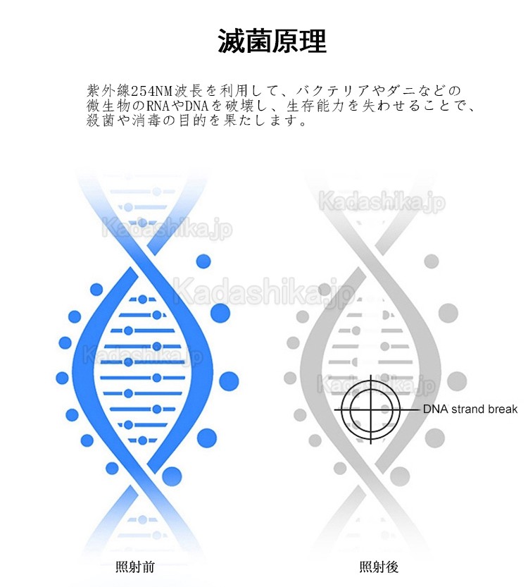 RUIWAN RD90 歯科移動式口腔外バキューム UV消毒付き