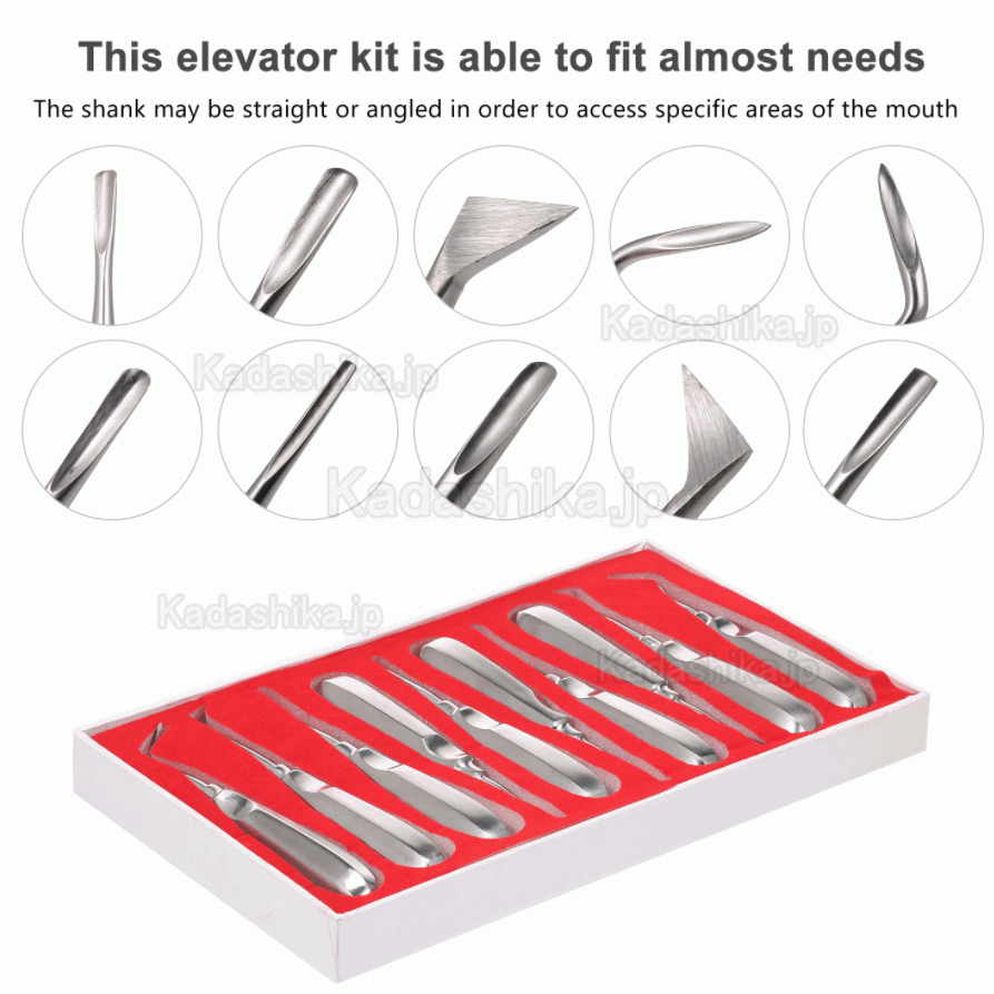 10本 歯根エレベーター 歯科矯正器具